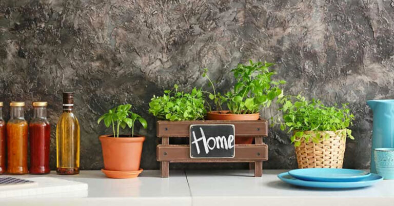 Erbe aromatiche: un angolo di sapori in casa erbe aromatiche perenni da coltivare sul balcone o in casa.