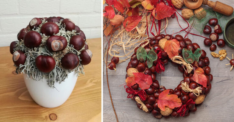 15 decorazioni fai da te da realizzare con le castagne decorazioni fai da te da realizzare con le castagne