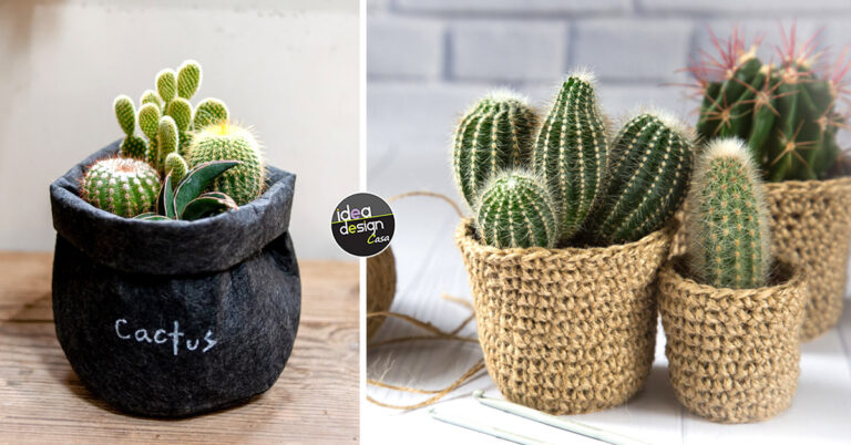 Un cactus in vaso per decorare la bella stagione! 13 ispirazioni... Ispirazioni per decorare un vaso con cactus