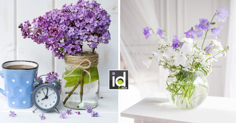 Lilla in vaso per incantare casa in primavera! 15 ispirazioni Lilla, cura e caratteristiche della pianta.