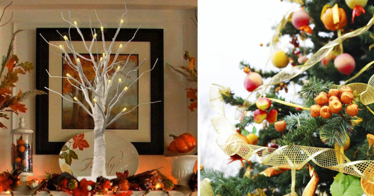 L'albero d'autunno, una nuova tradizione made in USA albero-d'autunno