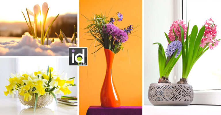 11 fiori da piantare in autunno: nomi e caratteristiche... Ispiratevi fiori da piantare in autunno, nomi e caratteristiche