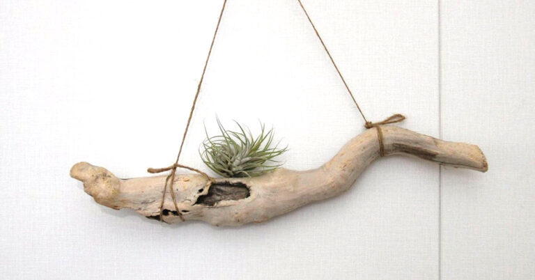 Ripiani creativi con legno di mare: 8 bellissime idee fai da te Ripiani creativi con legno di mare