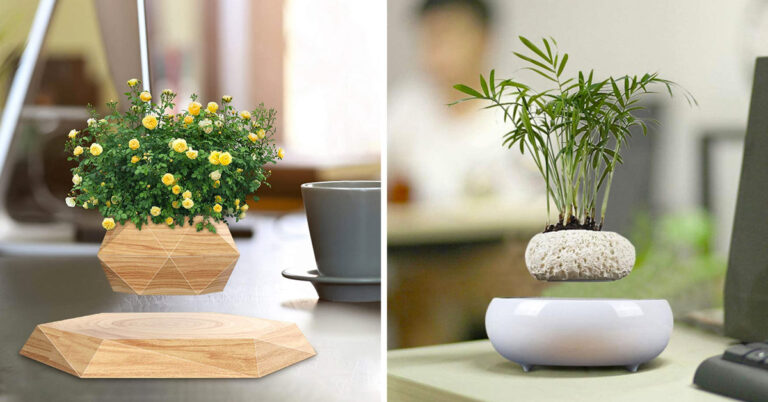 Il vaso che fluttua: 7 modelli super originali per la casa vaso che fluttua