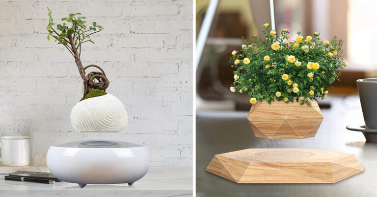 Il vaso fluttuante: 8 modelli ultramoderni per decorare casa vaso-fluttuante