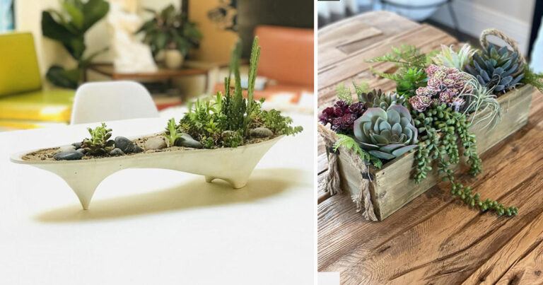 Un bel centrotavola con le piante grasse! 9 idee per ispirarvi centrotavola con piante grasse