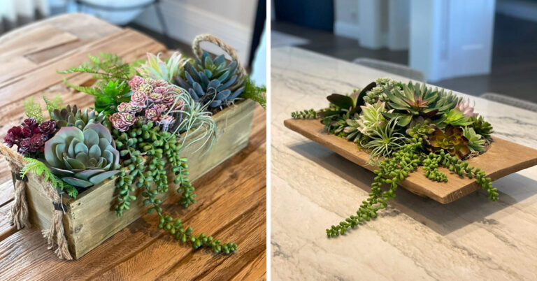 Realizzare un bel centrotavola con le piante grasse: lasciatevi incantare centrotavola di piante grasse