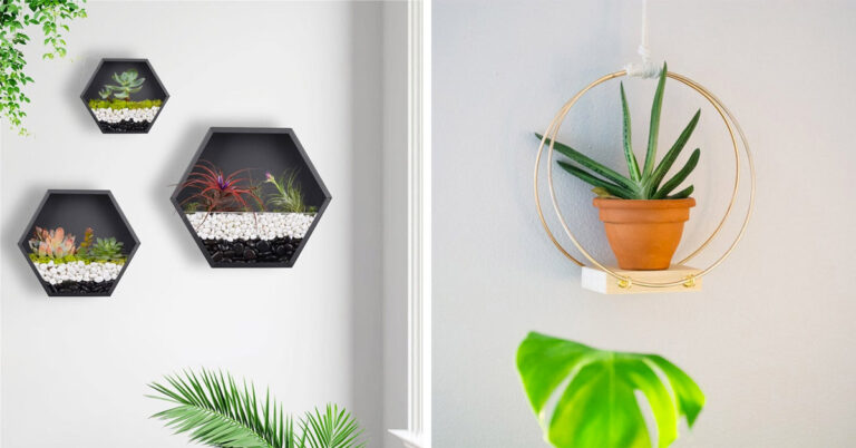 9 idee creative per decorare le pareti di casa con le piantine: ispiratevi decorare pareti