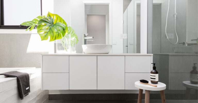 Le piante per il bagno che assorbono l'umidità: ecco 10 varietà umidità