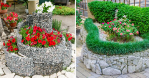 aiuole fiorite con le pietre