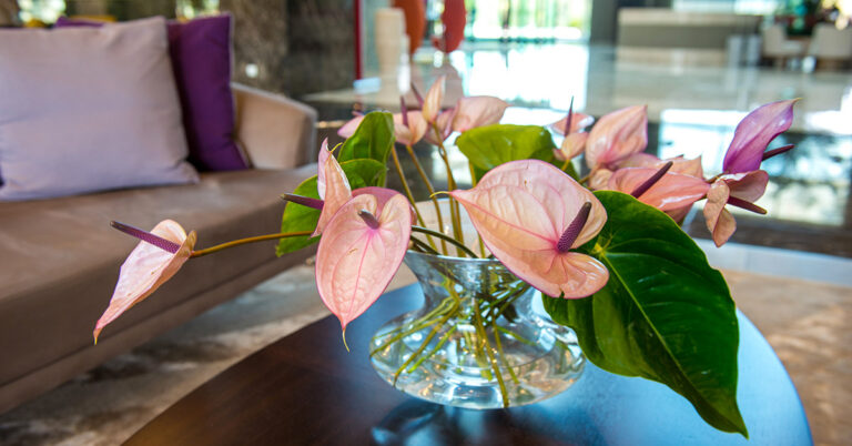 Con queste semplici mosse, i fori recisi vivranno più a lungo Fiori recisi trucchi.