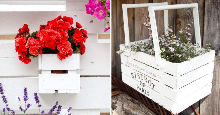 La cassetta di legno "green" fai da te per la primavera: 9 ispirazioni con piante e fiori Cassetta di legno fioriera.