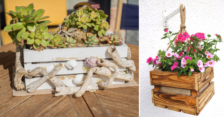 cassette-di-legno-con-piante-e-fiori