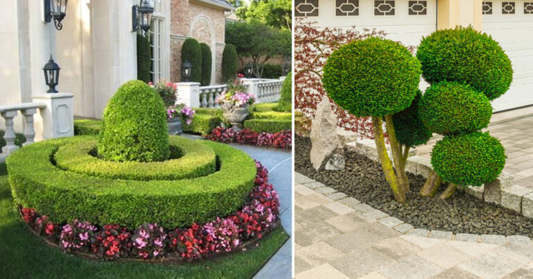 come-tagliare-arbusti-e-cespugli