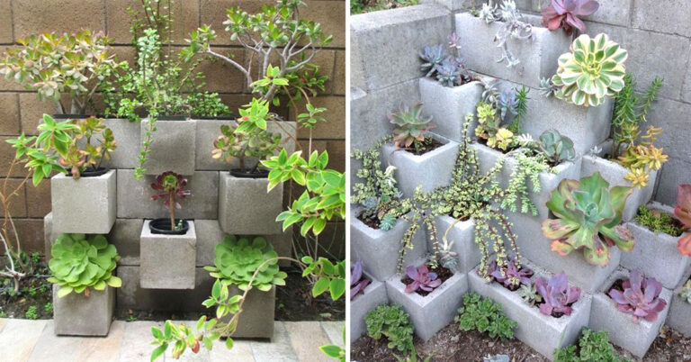 10 idee fai da te per una fioriera da giardino creativa con i blocchi di cemento: ispiratevi Fioriera fai da te con blocchi di cemento.