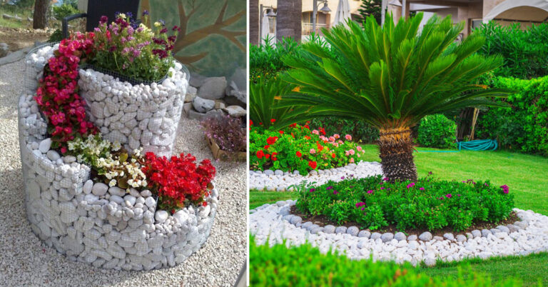 aiuole-con-sassi-e-piante