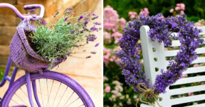 Sfiziose decorazioni shabby chic con la lavanda.