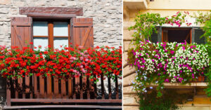 Come decorare la ringhiera del balcone in modo originale con fiori e piante