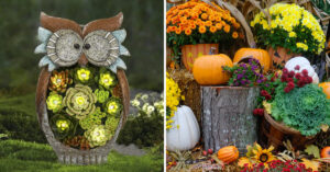 Simpatiche idee per decorare il giardino in autunno.