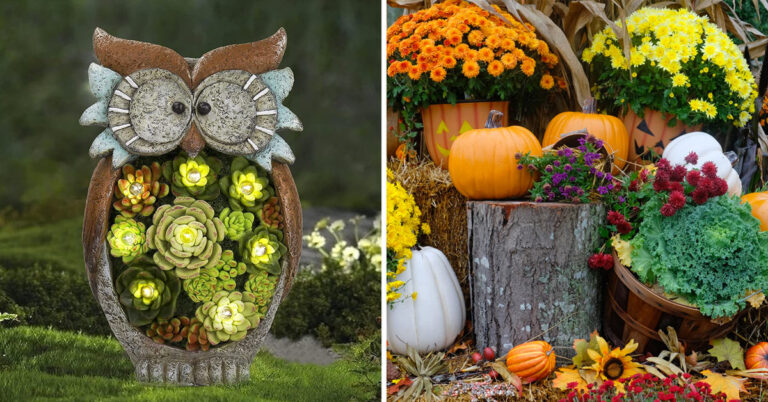 7 belle e simpatiche idee per decorare il giardino in autunno: lasciatevi ispirare Simpatiche idee per decorare il giardino in autunno.