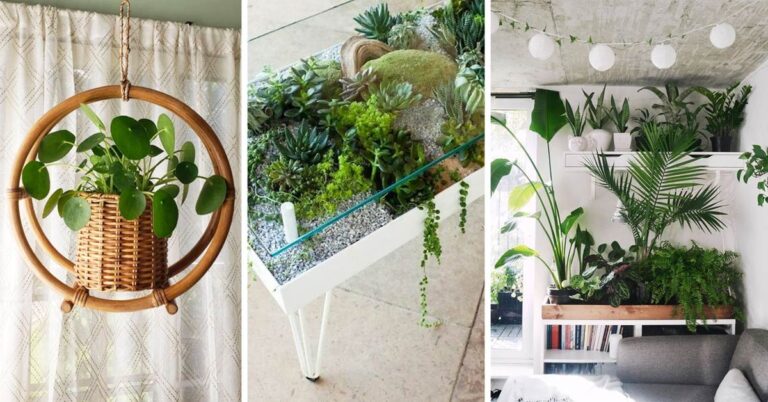 9 decorazioni green super originali per abbellire casa: ispiratevi Decorazioni green originali per la casa.