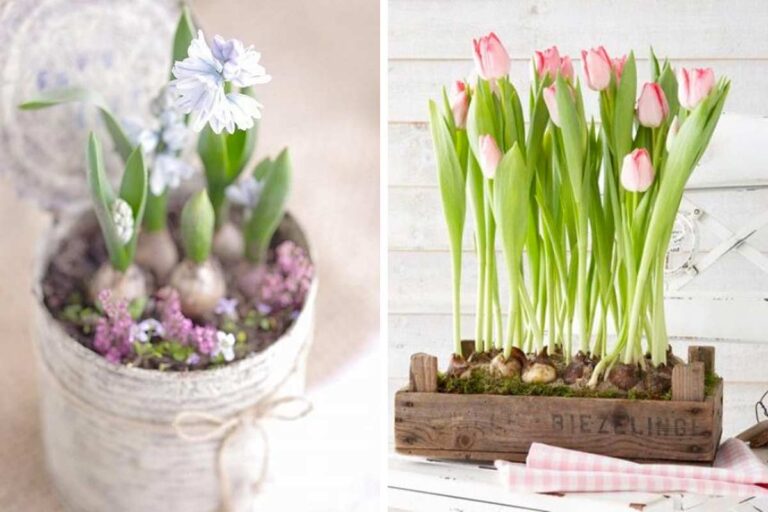 Bulbi di primavera: ecco come arredare casa con decorazioni originali Bulbi-di-primavera