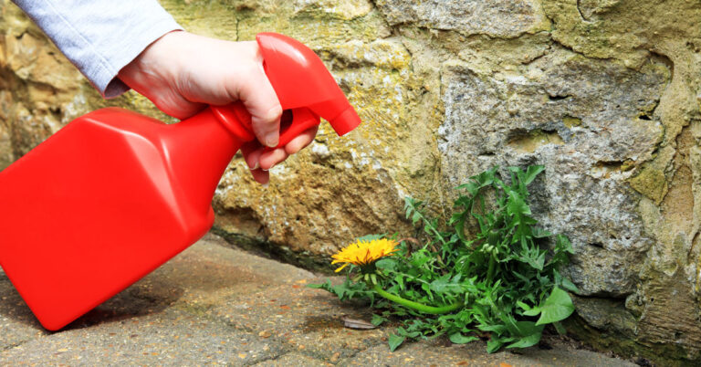 diserbante-naturale-fai-da-te