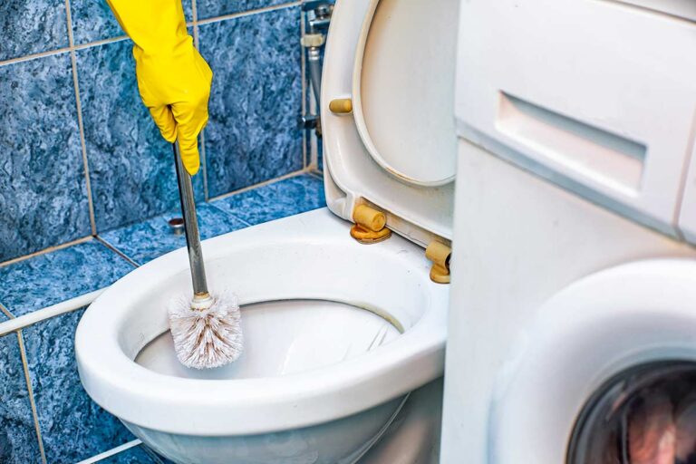 Il tartaro del WC non sarà più un problema con questi metodi fai da te eliminare il tartaro dal WC con metodi fai da te