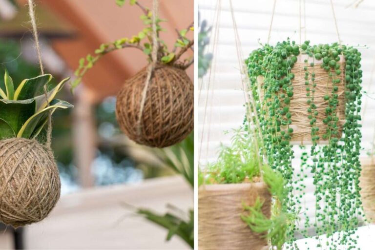 arredare-casa-con-le-piante-sospese