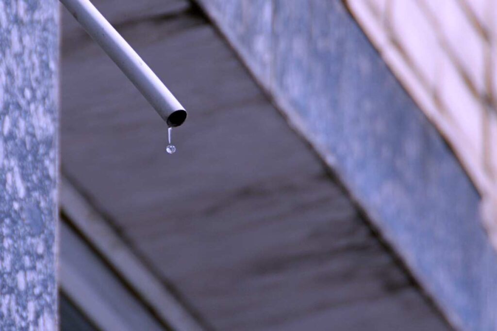 Innaffiare le piante con l'acqua del condizionatore