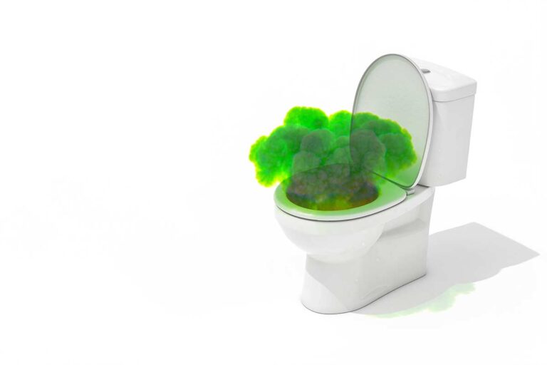 Cattivi odori dal wc? Eccoti la soluzione: usa il sale grosso con questa miscela Cattivi odori dal wc, soluzione con sale grosso.