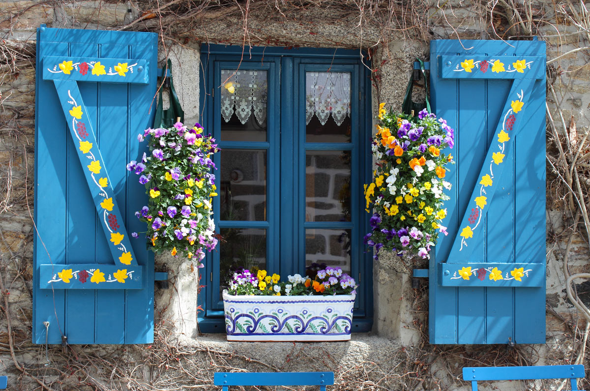 Bella finestra in legno blu con vaso di fiori colorati autunnali sul balcone.