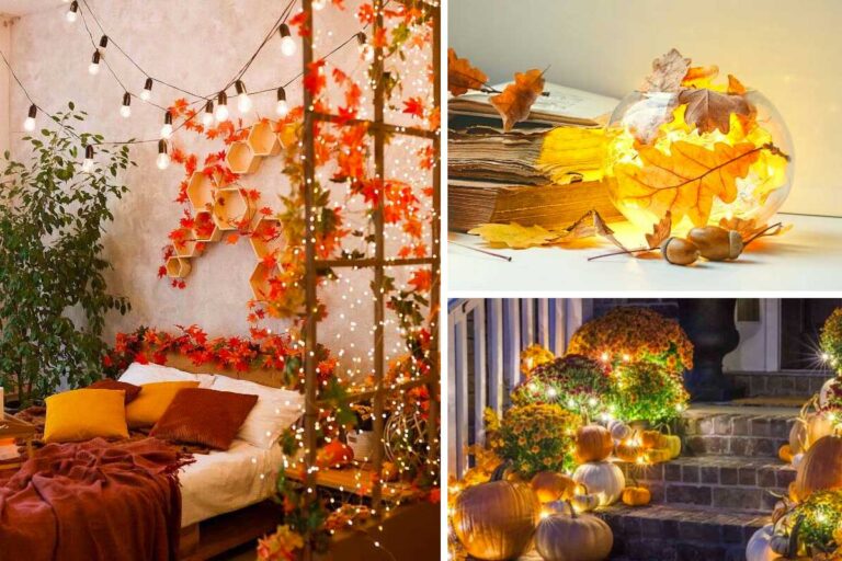 Decorazioni luminose per esaltare la magia dell'autunno: 10 idee per casa e giardino decorazioni luminose autunnali