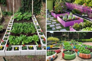 Creare un orto pieno di colori.