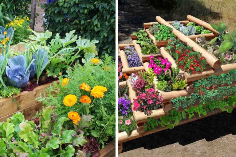 Come realizzare un bellissimo orto-giardino fai da te orto-giardino-fai-da_Te