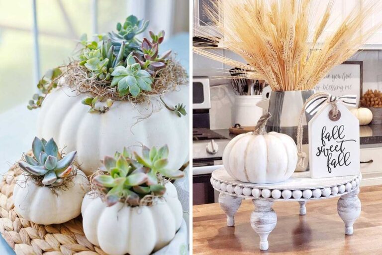 Zucche bianche per un autunno affascinante: ecco le splendide idee da copiare zucche bianche decorazioni autunnali