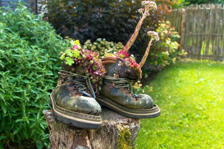 Il segreto per un giardino low cost? Riciclo, piantine grasse, e un pizzico di fantasia: ispirati giardino low cost, riciclo, piante grasse