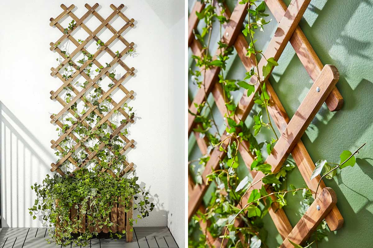 fioriera da balcone ikea per rampicanti