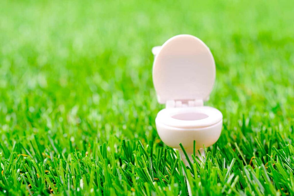 macchie ostinate nel WC