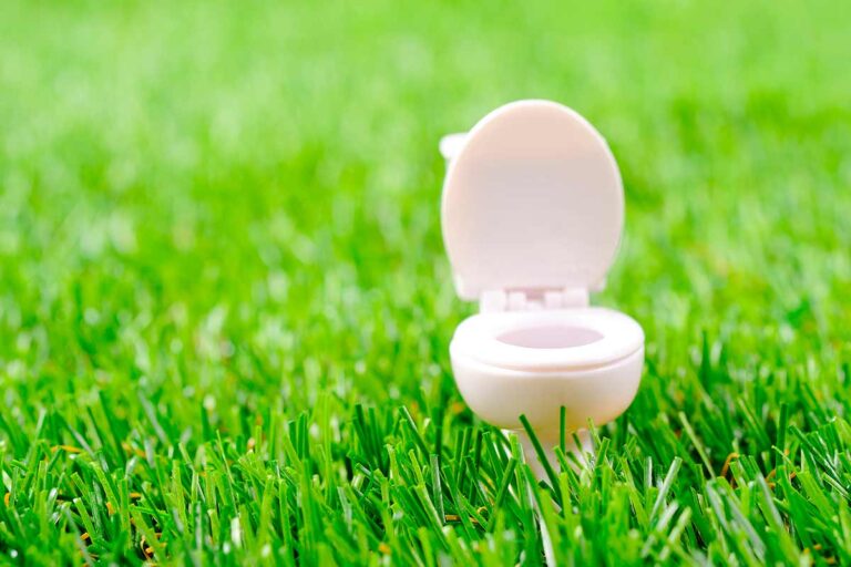 Affrontare le macchie ostinate nel WC: soluzioni efficaci con ingredienti naturali macchie ostinate nel WC