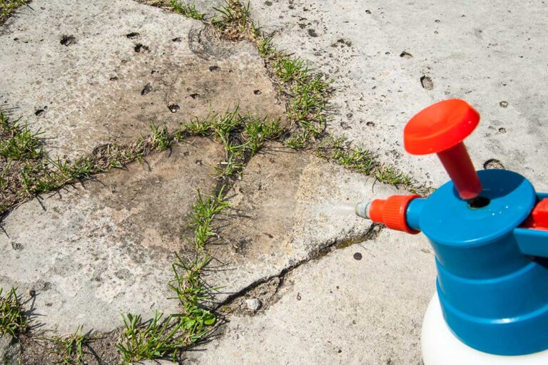 Diserbanti naturali potenti fai da te.