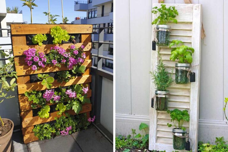 giardino verticale fai da te