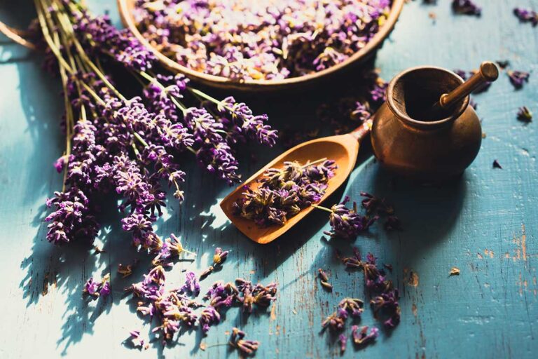 Lavanda in polvere fai da te: ecco come farla, usarla per profumare, pulire e tanto altro Lavanda in polvere fai da te.