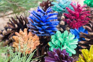 Come colorare le pigne.