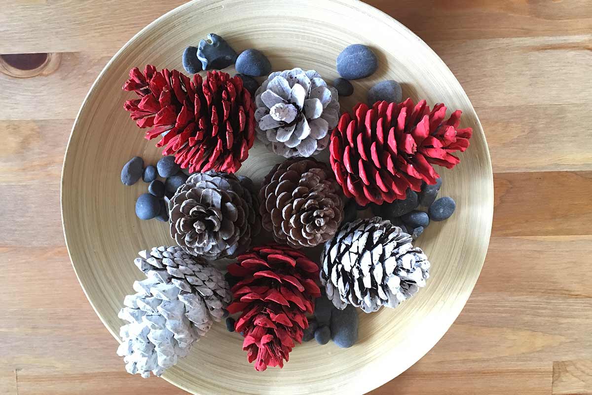 pigne colorate in una ciotola