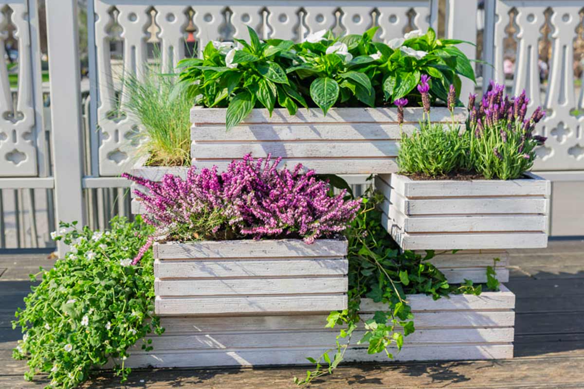 Portafiori con cassette di legno.