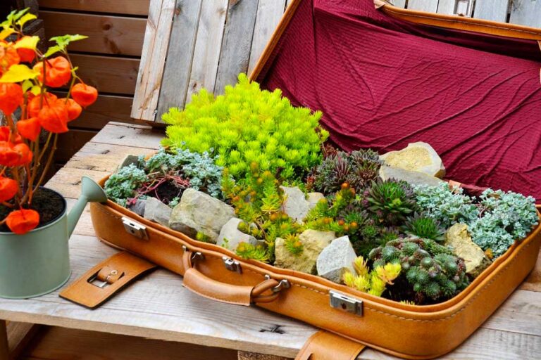 La Veranda: 15 idee originali per sfruttare l'esterno tutto l'anno! portafiori con riciclo creativo