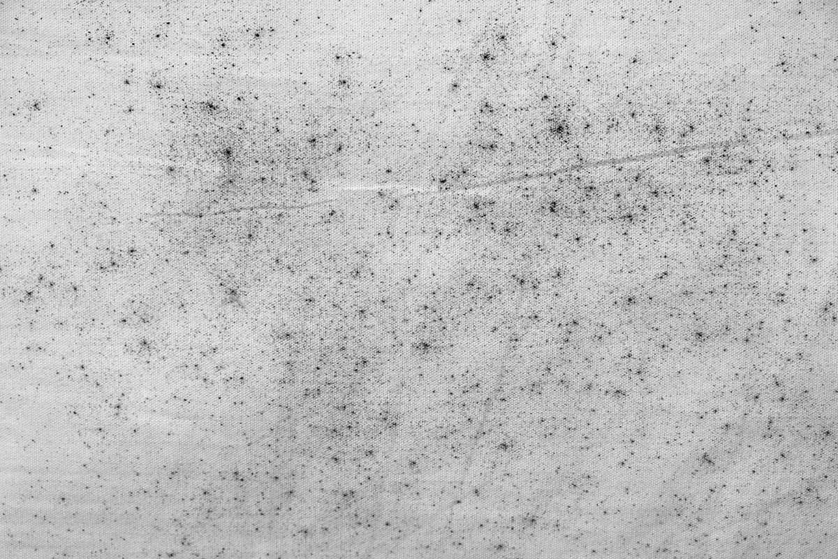 stoffa con macchie di muffa