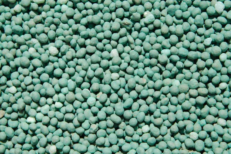 Concimazione di febbraio: il segreto per piante rigogliose dentro e fuori casa concimazione febbraio