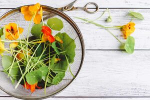 fiori che si mangiano